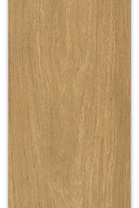 Gresie Lignea Larice
