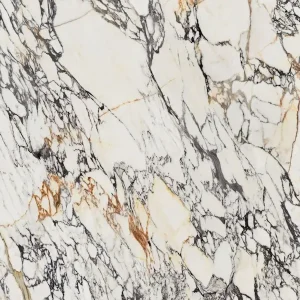 Aspect Supreme Chorachia