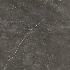 aspect gresie Sequere Ash