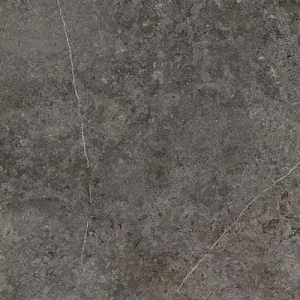 aspect gresie Landstone Carbon