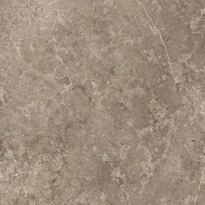 aspect gresie Landstone Earth